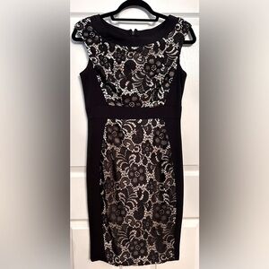 JAX Lace Overlay Sheath Knee Length Dress- Black/ Cream Size 4